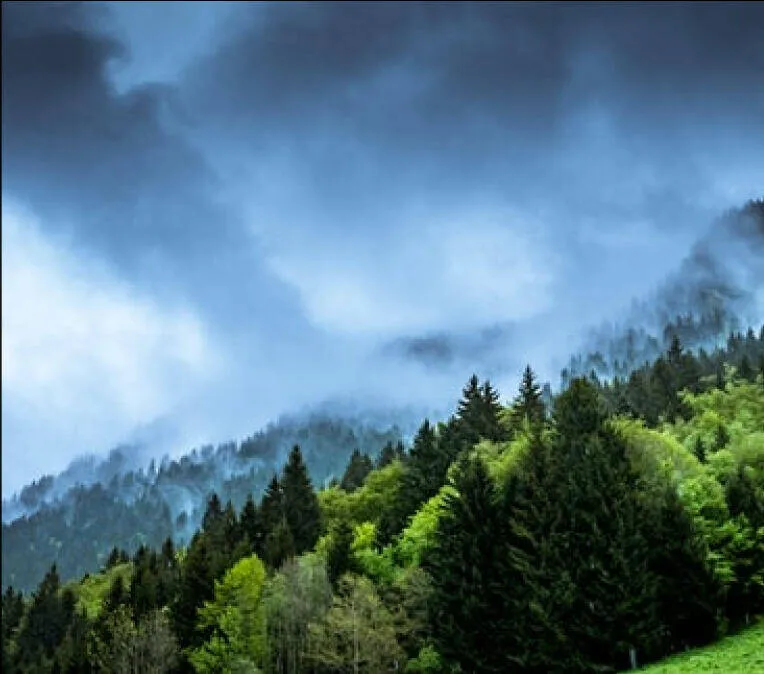 هنرمند از مکان های خیره کننده بازدید می کند و آنها را روی سطل زباله نقاشی می کند